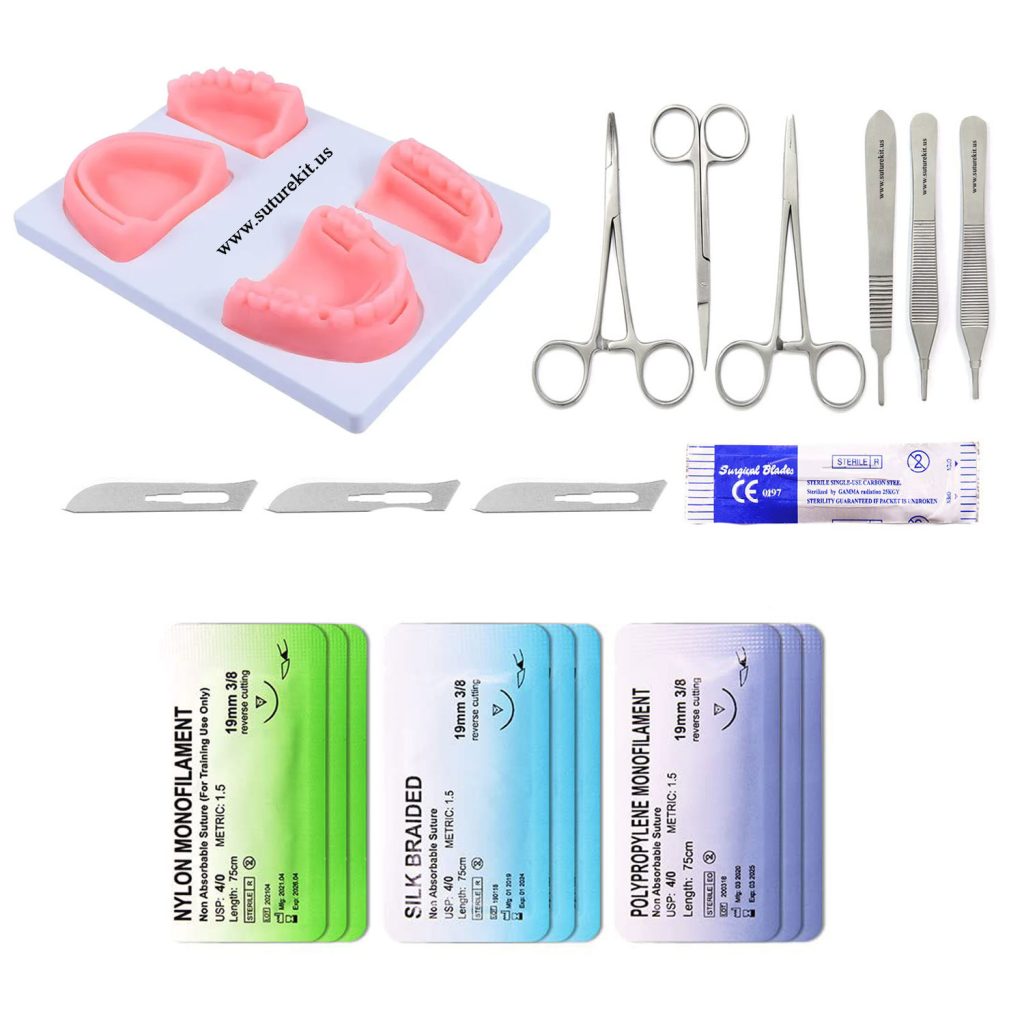 Dental Suturing Simulation Jaw Model