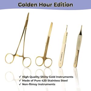 Dental Suturing Simulation Jaw Model