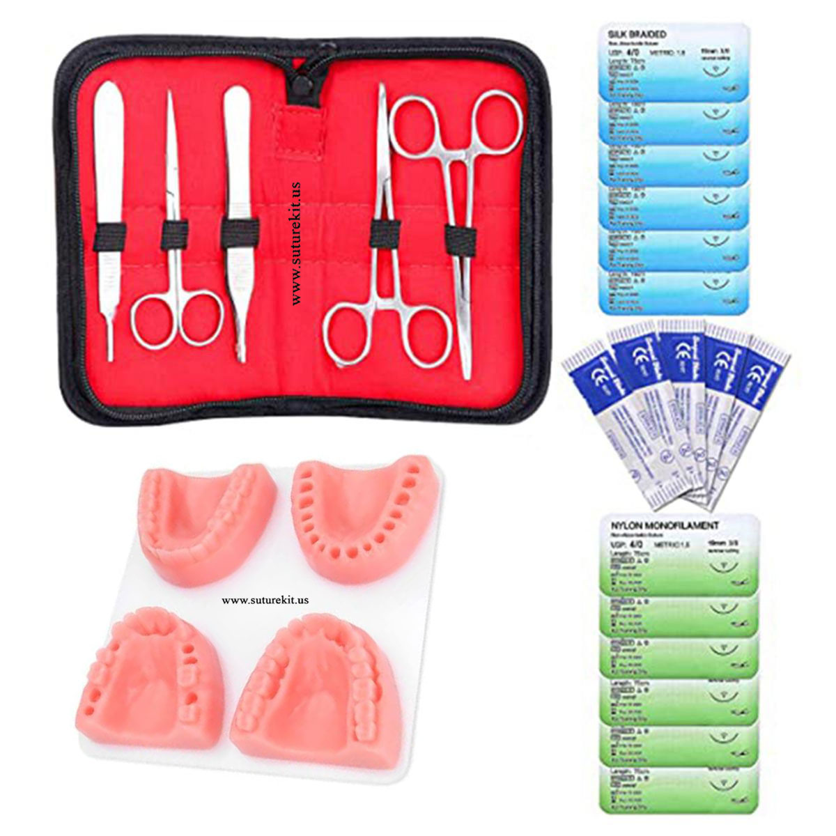 Professional Dental Suture Kit with Realistic Jaw
